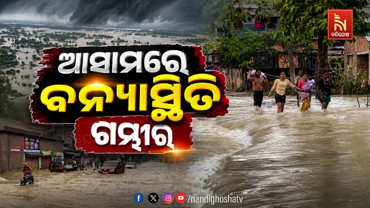 🔴 Live | ଆସାମରେ ବନ୍ଯାସ୍ଥିତି ଗମ୍ଭୀର