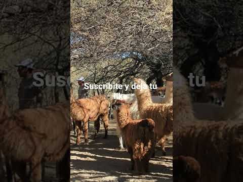 Santa María Catamarca