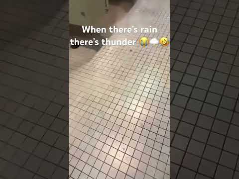 When there’s rain there’s thunder😭😭😭#trending#funnymemes#rain #thunder#fart#funnyreel #funny