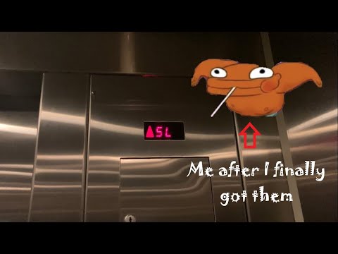 890. Schindler 330boRing Hydraulic Parking Elevators at Raleigh Convention Center - Raleigh, NC