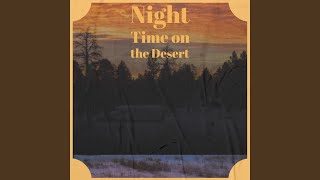 Night Time on the Desert