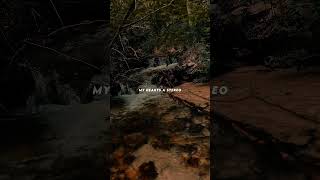 Download lagu stereo hearts-lyrics | aesthetic | speed up | slowed | audio | viral 🥀 mp3