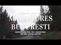 4K Time Lapse Car Dashboard Maramures Bucharest Via Bistrita Sighisoara Brasov Ploiesti