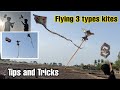 How To Fly A Three Types Kites Tips And Tricks In Tamil