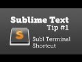 Installing Subl in Terminal (Sublime Text Tip #1)