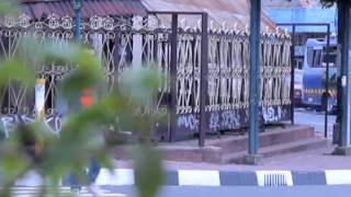 Download lagu GIGI - Ikan laut (Cover) mp3