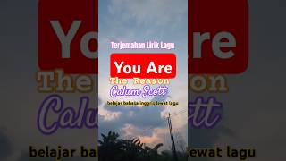 Download lagu You Are The Reason - Calum Scott, Terjemahan Lirik Lagu, (belajar bahasa inggris lewat lagu) mp3