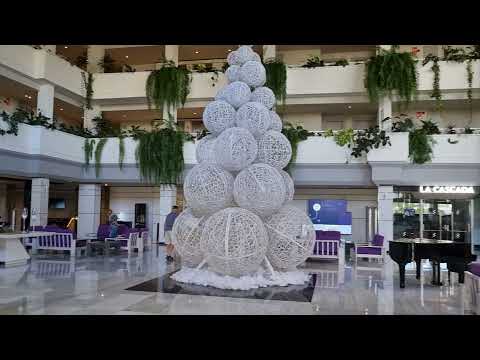 Tenerife Today Sunday 12th December 2021 - This is nice