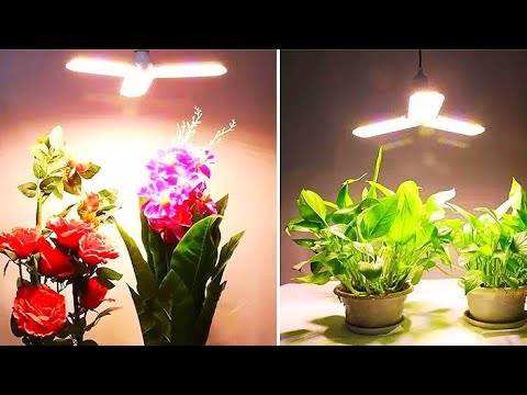 Светодиодные фитолампы Derlights / LED phytolamps Derlights