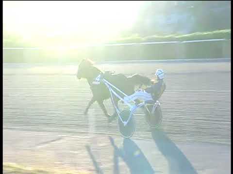 Trotto 29/12/2017 - 2ª corsa