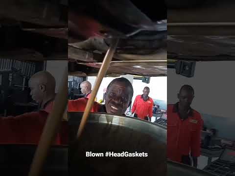 Thumbnail for blown head gaskets makes milkshake. #kenya #nairobi #levorg #subaru #blown head gaskets #gaskets by Subaru