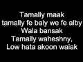 Tamally Maak Amr Diab Avi