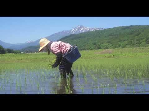 妙高山が育んだ　赤倉温泉と幻の妙高限定酒