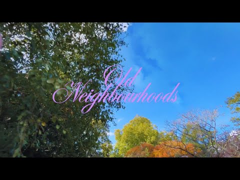 The Bobo - Old Neighbourhoods (Lyric Video)