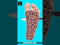 FOOT DEEP CLEANING ASMR CLEANING VIDEOS ASMR TREATMENT BODY CLEANING ASMR ANIMATION