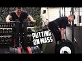 QUADS + HAMSTRINGS | WHAT I DO TO GROW THE LEGS