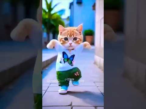 Cute Dancing Cat with dad and baby 😱🥰 #mistihappylifestyle #shorts #viral #trending #funny