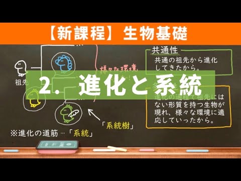 Archaeplastida (系統分類)について詳しく解説