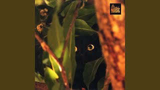 The Blue Alsatian Mountains (kitten Music and Purring Sounds)