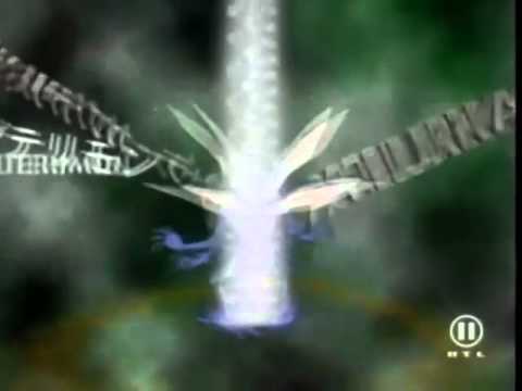 Digimon   Wir werden siegen