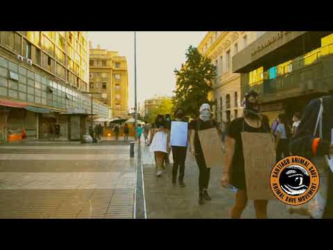 Intervención “Así gritaba tu cena” fiestas fin de año 2021