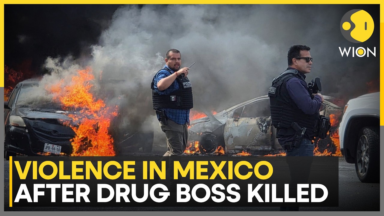 Berlin Blackout: 45,000 Homes Dark After Arson Attack | WION