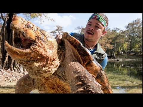 UFPA PRESENTS: National Geographic LIVE - Untamed with Filipe DeAndrade