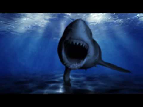 Wer wir sind? UW-Safari stellt sich vor