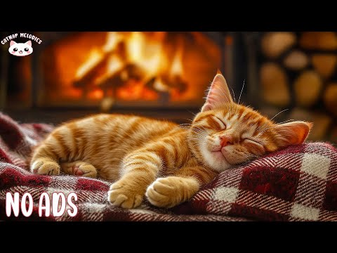 Calming Music for Nervous Cats 🐾🎵 Peaceful Tunes for Anxiety, Healing Sleep, and Relaxation