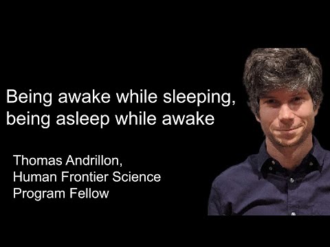 Being awake while sleeping, being asleep while awake by Thomas Andrillon
