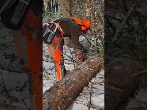 Perinteinen tyyli karsia puu - Ei tule helpolla #chainsaw #wood #woodworking #echo #metsuri