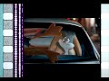 Looney Tunes Back In Action 2003 35mm Film Trailer Flat Hard Matte