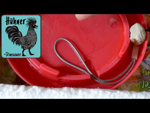 ⛄️ Hühner im Winter ❄️ : Tränkenwärmer low Budget - Geldbeutel und Umwelt entlastet!