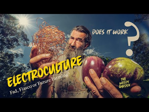 Electroculture - Does it Work?