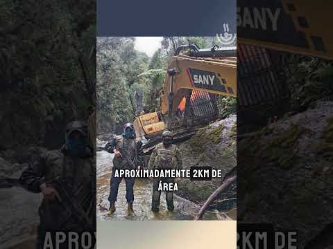 ¡Operativo militar contra la minería ilegal en Podocarpus!