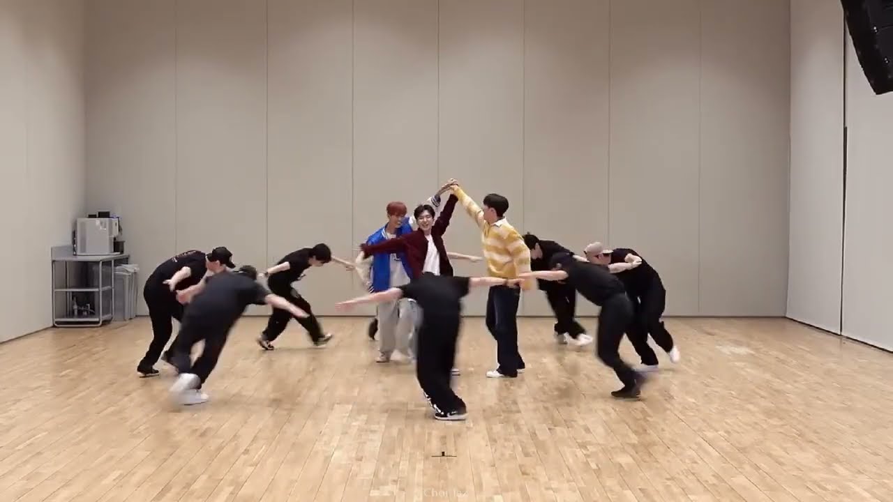 [BSS - FIGHTING (Feat. Lee Young Ji)] Dance Practice Mirrored