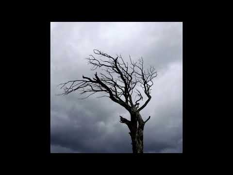 Demircan Demir · Ayışığında