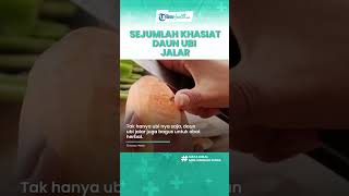 Khasiat Konsumsi Daun Ubi Jalar Dapat Atasi Rasa Sakit Menstruasi hingga Mengobati Peradangan