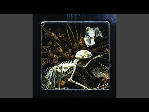 Burn My Body - William Elliott Whitmore