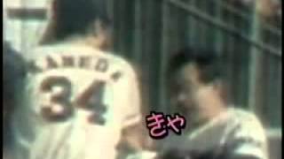 Re: [分享] 西武隊 公布明年三月OB戰出場球員名