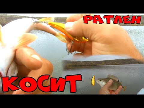 РЫБАЛКА НА ВОБЛЕРЫ!РАТЛЕН КОСИТ РЫБУ! Воблер DUO Realis Vibration 62S 62mm 11.0g ГЕРОЙ ДНЯ!