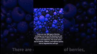 🍓 Discover the World of Berries: Over 400 Varieties Explained! 🌍