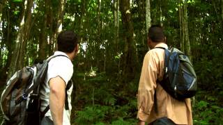 Punto de Control - Trailer