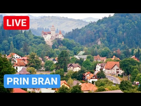 🔴 LIVE la pas prin BRAN - De ce vin TURIȘTII aici?
