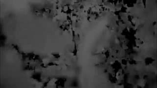 Sigha - Christ Figures