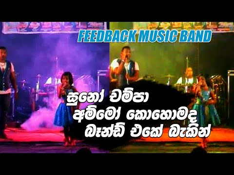 Suno Champa   Supuni Rashmika Feedback Music Band