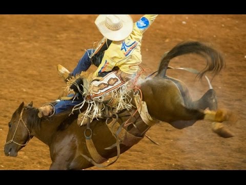 Leandro Baldissera  ● O Super Campeão em Cavalos