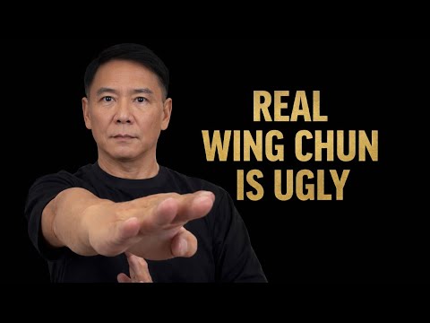 Wing Chun Was Never Meant to Look Good — Only to Survive 