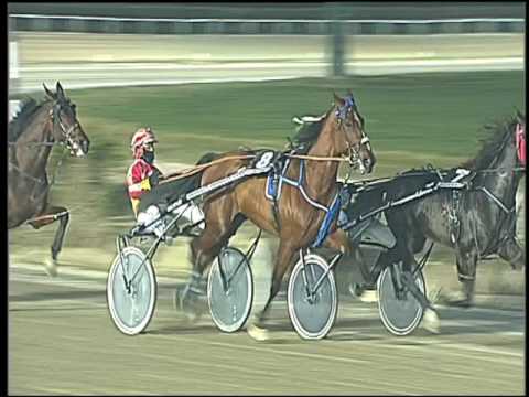 Trotto 30/12/2016 - 5ª corsa