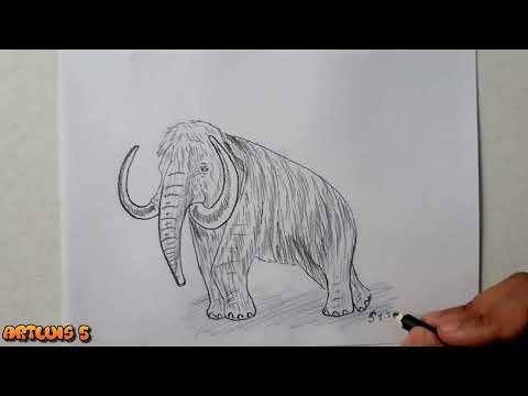 Comment dessiner un mammouth
